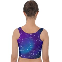 Velvet Crop Top 