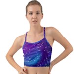 Realistic Night Sky With Constellations Mini Tank Bikini Top