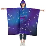 Realistic Night Sky With Constellations Women s Hooded Rain Ponchos