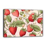 Strawberry Fruit Canvas 18  x 12  (Stretched)