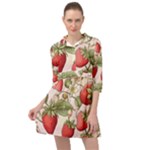Strawberry Fruit Mini Skater Shirt Dress