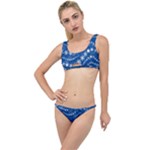 Snowflakes Winter Background The Little Details Bikini Set