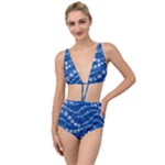 Snowflakes Winter Background Tied Up Two Piece Swimsuit