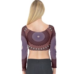 Long Sleeve Crop Top 