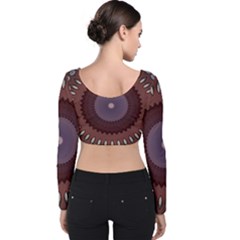 Velvet Long Sleeve Crop Top 