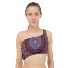 Spliced Up Bikini Top  