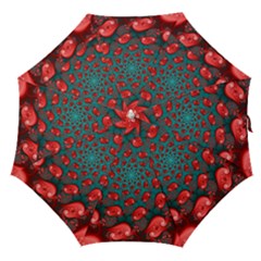 Straight Umbrella 