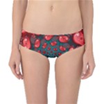 Fractal Red Spiral Abstract Art Classic Bikini Bottoms