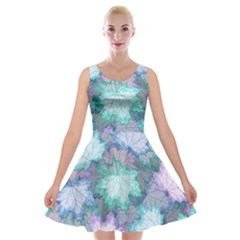 Velvet Skater Dress 