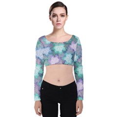 Velvet Long Sleeve Crop Top 