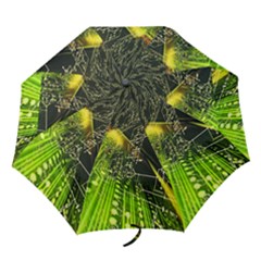 Folding Umbrella 