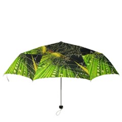 Folding Umbrella 