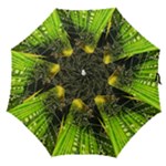 Machine Technology Circuit Electronic Computer Technics Detail Psychedelic Abstract Pattern Straight Umbrellas