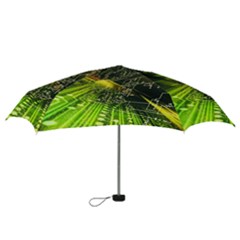Mini Folding Umbrella 