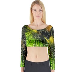Long Sleeve Crop Top 