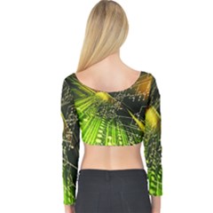 Long Sleeve Crop Top 