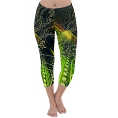 Capri Winter Leggings Front Capri Winter Leggings Front