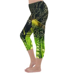 Capri Winter Leggings Back Capri Winter Leggings Back