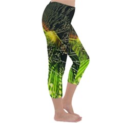 Capri Winter Leggings  