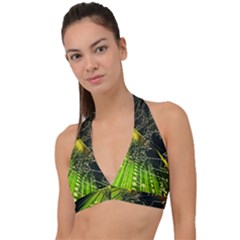 Halter Plunge Bikini Top 