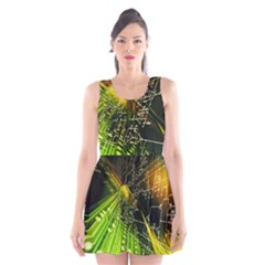 Scoop Neck Skater Dress 