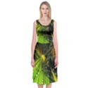 Midi Sleeveless Dress 