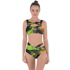 Bandaged Up Bikini Set  