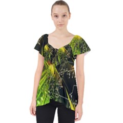 Lace Front Dolly Top 
