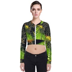 Long Sleeve Zip Up Bomber Jacket 