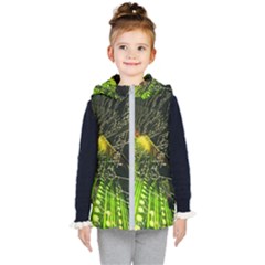 Kids  Hooded Puffer Vest 