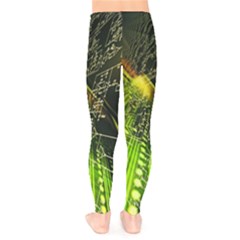 Kids  Leggings 