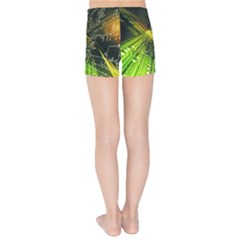 Kids  Sports Shorts 