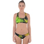 Machine Technology Circuit Electronic Computer Technics Detail Psychedelic Abstract Pattern Cross Back Hipster Bikini Set