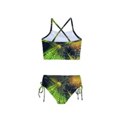 Girls  Tankini Swimsuit 