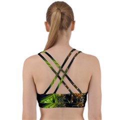 Back Weave Sports Bra 