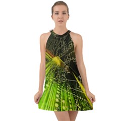 Halter Tie Back Chiffon Dress 