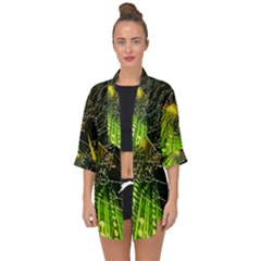 Open Front Chiffon Kimono 