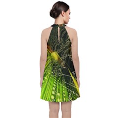 Velvet Halter Neckline Dress  