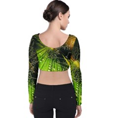 Velvet Long Sleeve Crop Top 