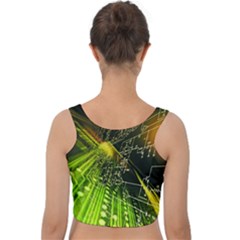 Velvet Crop Top 