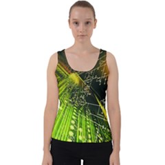Velvet Tank Top 