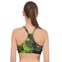 Basic Training Sports Bra 