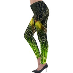 Lightweight Velour Leggings 
