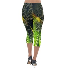 Lightweight Velour Capri Leggings  