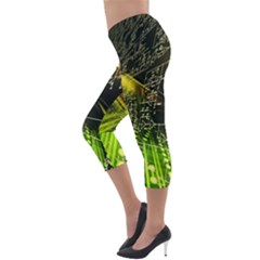 Lightweight Velour Capri Leggings  