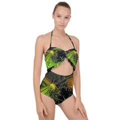 Scallop Top Cut Out Swimsuit 