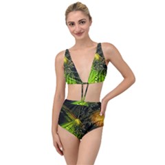 Tied Up Two Piece Swimsuit 