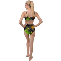 Tied Up Two Piece Swimsuit 