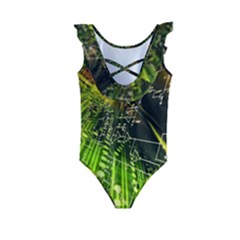 Kids  Frill Swimsuit 
