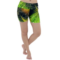 Lightweight Velour Yoga Shorts 